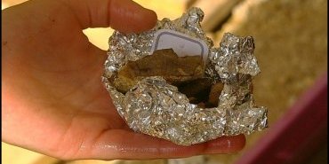 fossile de carapace de tortue