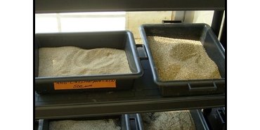 sédiments tamisés