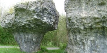 Le champignon